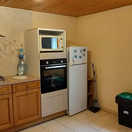 Apartment Orleo *
